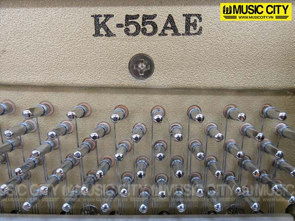 Music City – Tổng Kho Piano, Guitar, Organ | Dịch Vụ Giáo Dục Âm Nhạc