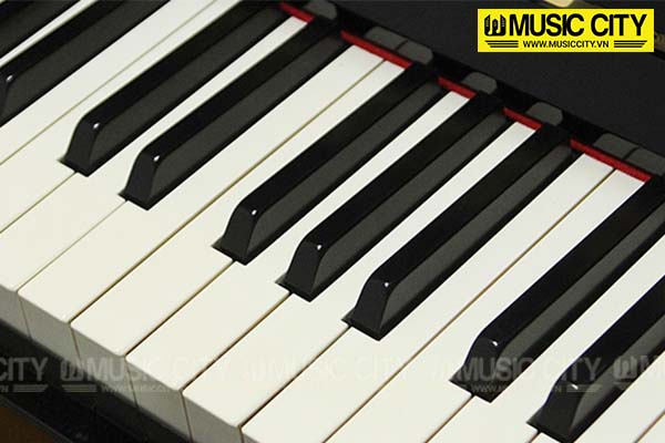 Music City – Tổng Kho Piano, Guitar, Organ | Dịch Vụ Giáo Dục Âm Nhạc