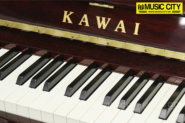 Music City – Tổng Kho Piano, Guitar, Organ | Dịch Vụ Giáo Dục Âm Nhạc