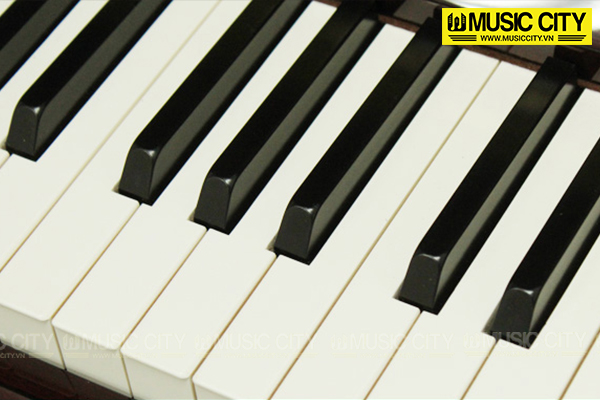 Music City – Tổng Kho Piano, Guitar, Organ | Dịch Vụ Giáo Dục Âm Nhạc