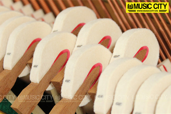 Music City – Tổng Kho Piano, Guitar, Organ | Dịch Vụ Giáo Dục Âm Nhạc
