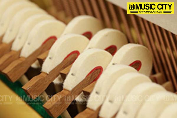 Music City – Tổng Kho Piano, Guitar, Organ | Dịch Vụ Giáo Dục Âm Nhạc