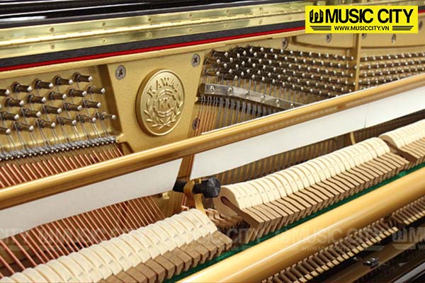 Music City – Tổng Kho Piano, Guitar, Organ | Dịch Vụ Giáo Dục Âm Nhạc