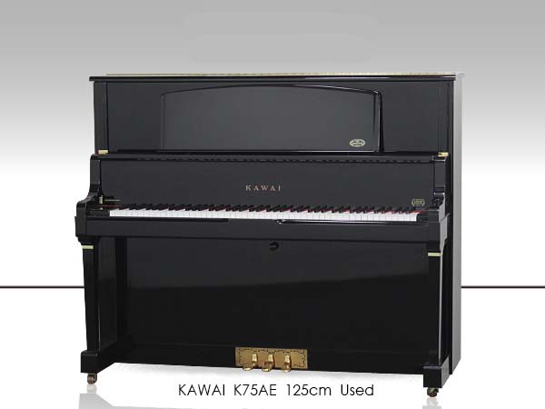 Music City – Tổng Kho Piano, Guitar, Organ | Dịch Vụ Giáo Dục Âm Nhạc