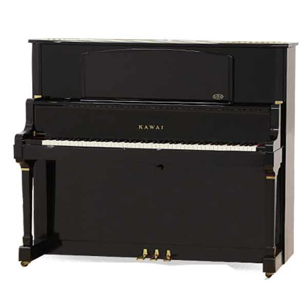 Music City – Tổng Kho Piano, Guitar, Organ | Dịch Vụ Giáo Dục Âm Nhạc