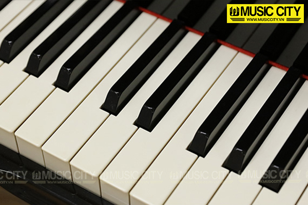 Music City – Tổng Kho Piano, Guitar, Organ | Dịch Vụ Giáo Dục Âm Nhạc