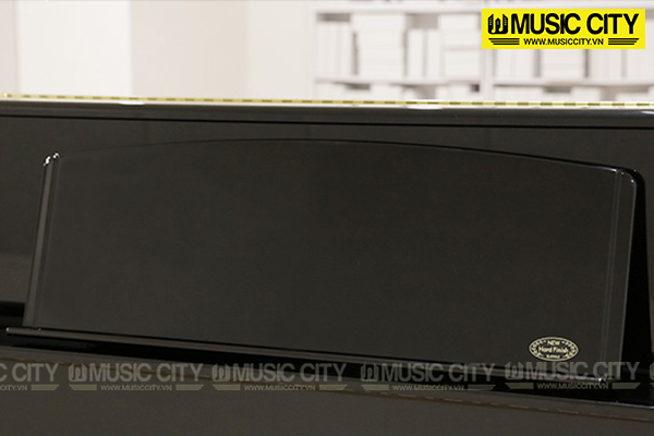 Music City – Tổng Kho Piano, Guitar, Organ | Dịch Vụ Giáo Dục Âm Nhạc