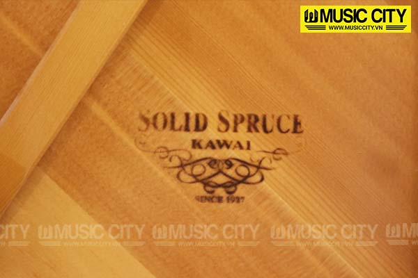Music City – Tổng Kho Piano, Guitar, Organ | Dịch Vụ Giáo Dục Âm Nhạc