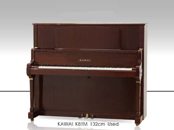 Music City – Tổng Kho Piano, Guitar, Organ | Dịch Vụ Giáo Dục Âm Nhạc
