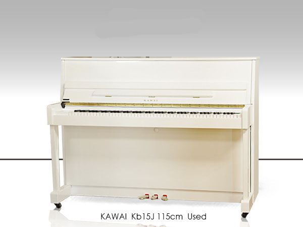 Music City – Tổng Kho Piano, Guitar, Organ | Dịch Vụ Giáo Dục Âm Nhạc