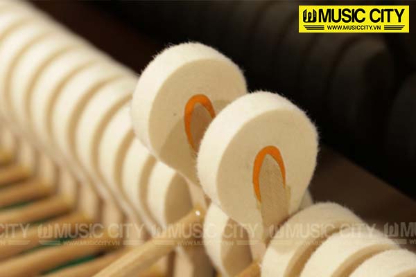 Music City – Tổng Kho Piano, Guitar, Organ | Dịch Vụ Giáo Dục Âm Nhạc