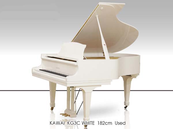 Music City – Tổng Kho Piano, Guitar, Organ | Dịch Vụ Giáo Dục Âm Nhạc