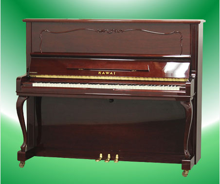 Music City – Tổng Kho Piano, Guitar, Organ | Dịch Vụ Giáo Dục Âm Nhạc
