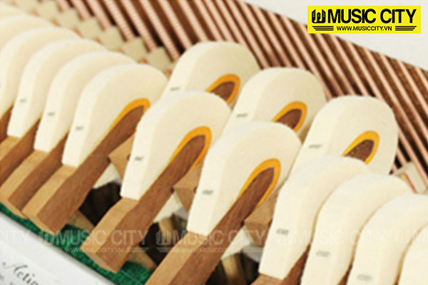 Music City – Tổng Kho Piano, Guitar, Organ | Dịch Vụ Giáo Dục Âm Nhạc