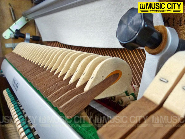 Music City – Tổng Kho Piano, Guitar, Organ | Dịch Vụ Giáo Dục Âm Nhạc