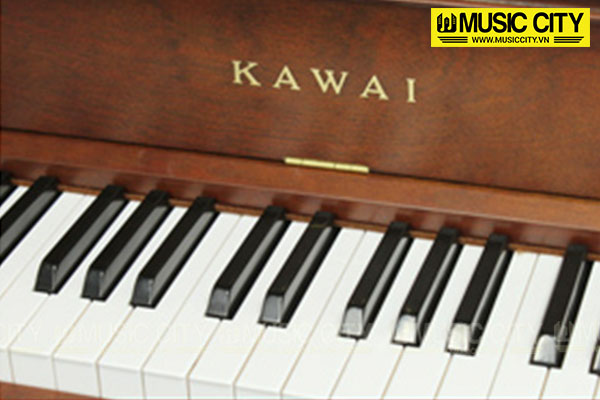 Music City – Tổng Kho Piano, Guitar, Organ | Dịch Vụ Giáo Dục Âm Nhạc