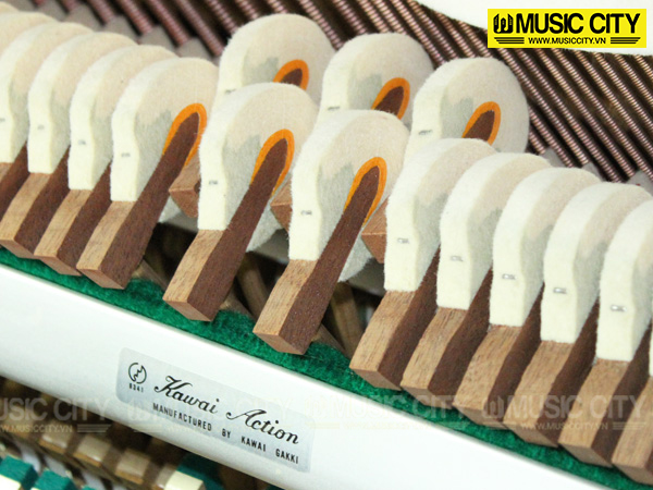 Music City – Tổng Kho Piano, Guitar, Organ | Dịch Vụ Giáo Dục Âm Nhạc