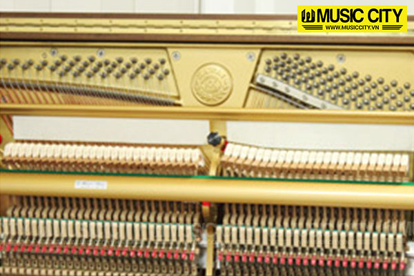 Music City – Tổng Kho Piano, Guitar, Organ | Dịch Vụ Giáo Dục Âm Nhạc