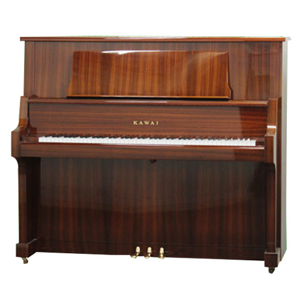 Music City – Tổng Kho Piano, Guitar, Organ | Dịch Vụ Giáo Dục Âm Nhạc