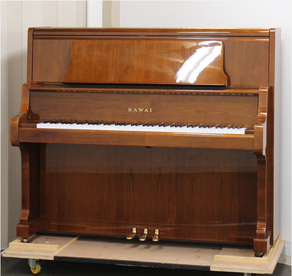 Music City – Tổng Kho Piano, Guitar, Organ | Dịch Vụ Giáo Dục Âm Nhạc
