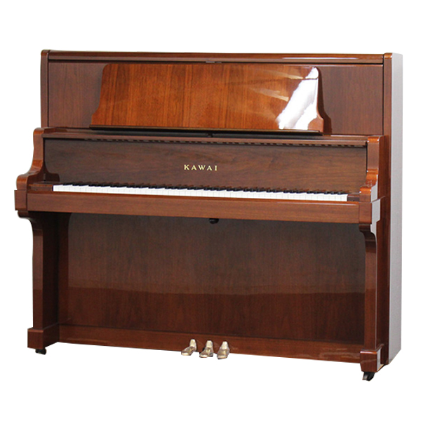 Music City – Tổng Kho Piano, Guitar, Organ | Dịch Vụ Giáo Dục Âm Nhạc