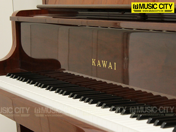 Music City – Tổng Kho Piano, Guitar, Organ | Dịch Vụ Giáo Dục Âm Nhạc
