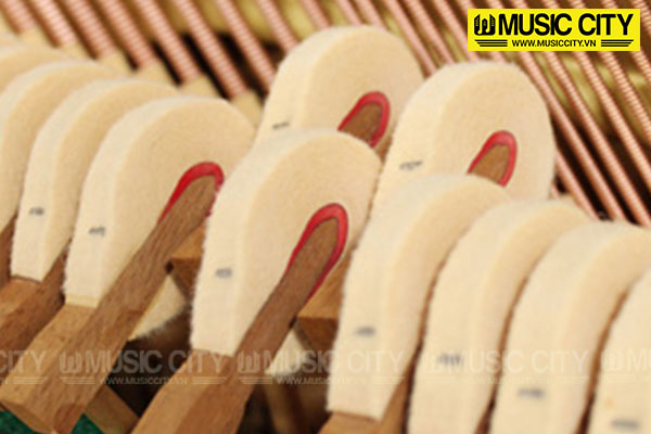 Music City – Tổng Kho Piano, Guitar, Organ | Dịch Vụ Giáo Dục Âm Nhạc