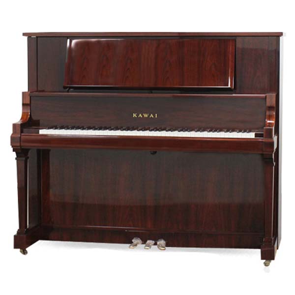 Music City – Tổng Kho Piano, Guitar, Organ | Dịch Vụ Giáo Dục Âm Nhạc