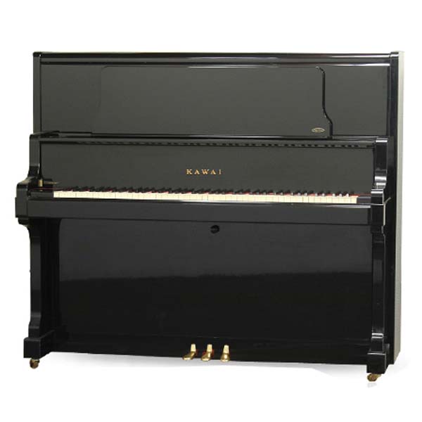Music City – Tổng Kho Piano, Guitar, Organ | Dịch Vụ Giáo Dục Âm Nhạc
