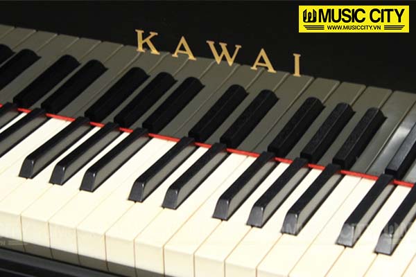 Music City – Tổng Kho Piano, Guitar, Organ | Dịch Vụ Giáo Dục Âm Nhạc