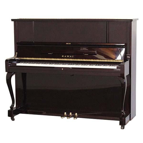Music City – Tổng Kho Piano, Guitar, Organ | Dịch Vụ Giáo Dục Âm Nhạc