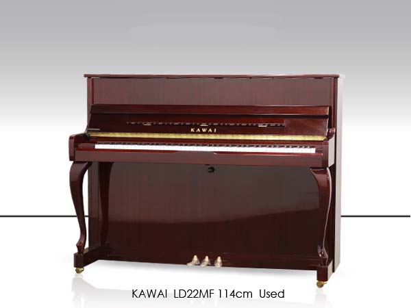 Music City – Tổng Kho Piano, Guitar, Organ | Dịch Vụ Giáo Dục Âm Nhạc