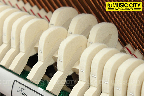 Music City – Tổng Kho Piano, Guitar, Organ | Dịch Vụ Giáo Dục Âm Nhạc