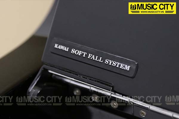 Music City – Tổng Kho Piano, Guitar, Organ | Dịch Vụ Giáo Dục Âm Nhạc