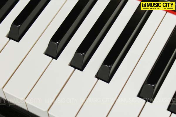 Music City – Tổng Kho Piano, Guitar, Organ | Dịch Vụ Giáo Dục Âm Nhạc