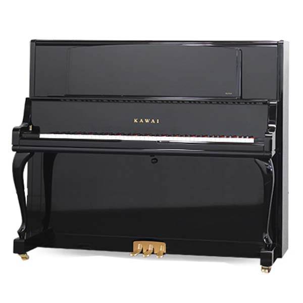 Music City – Tổng Kho Piano, Guitar, Organ | Dịch Vụ Giáo Dục Âm Nhạc