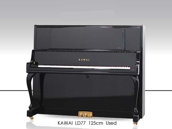 Music City – Tổng Kho Piano, Guitar, Organ | Dịch Vụ Giáo Dục Âm Nhạc