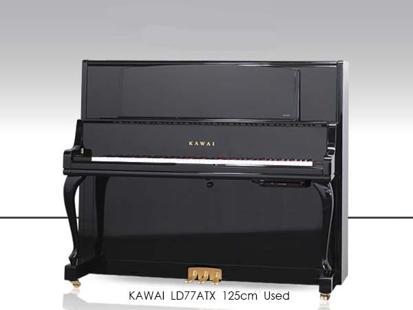 Music City – Tổng Kho Piano, Guitar, Organ | Dịch Vụ Giáo Dục Âm Nhạc
