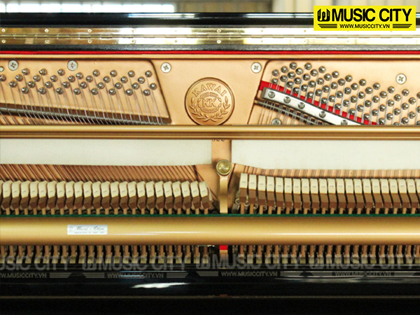 Music City – Tổng Kho Piano, Guitar, Organ | Dịch Vụ Giáo Dục Âm Nhạc
