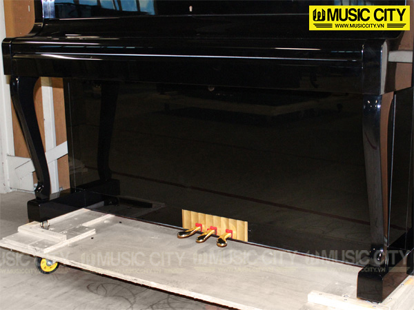 Music City – Tổng Kho Piano, Guitar, Organ | Dịch Vụ Giáo Dục Âm Nhạc