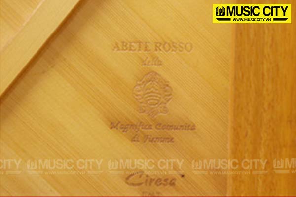 Music City – Tổng Kho Piano, Guitar, Organ | Dịch Vụ Giáo Dục Âm Nhạc
