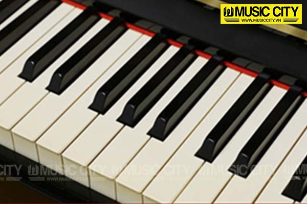 Music City – Tổng Kho Piano, Guitar, Organ | Dịch Vụ Giáo Dục Âm Nhạc