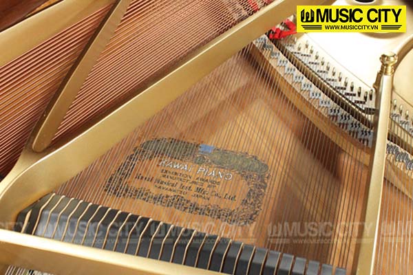 Music City – Tổng Kho Piano, Guitar, Organ | Dịch Vụ Giáo Dục Âm Nhạc