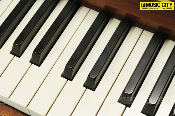 Music City – Tổng Kho Piano, Guitar, Organ | Dịch Vụ Giáo Dục Âm Nhạc