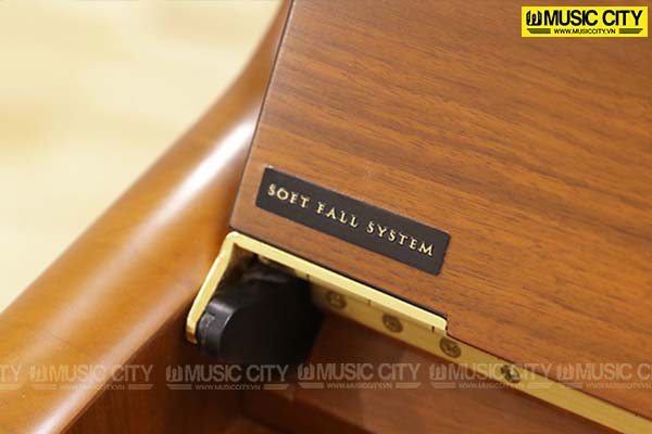 Music City – Tổng Kho Piano, Guitar, Organ | Dịch Vụ Giáo Dục Âm Nhạc