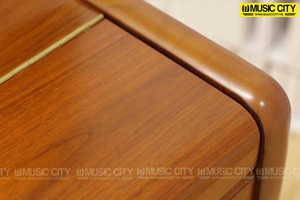Music City – Tổng Kho Piano, Guitar, Organ | Dịch Vụ Giáo Dục Âm Nhạc