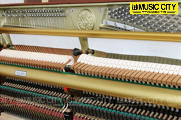 Music City – Tổng Kho Piano, Guitar, Organ | Dịch Vụ Giáo Dục Âm Nhạc