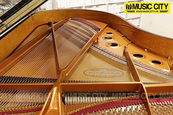 Music City – Tổng Kho Piano, Guitar, Organ | Dịch Vụ Giáo Dục Âm Nhạc