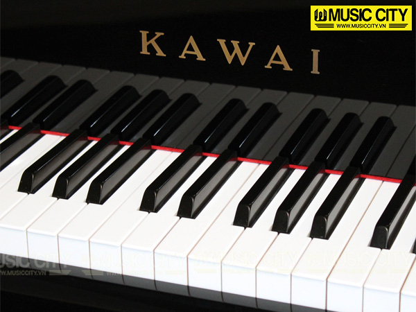 Music City – Tổng Kho Piano, Guitar, Organ | Dịch Vụ Giáo Dục Âm Nhạc