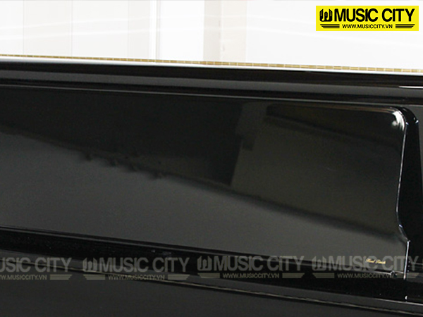 Music City – Tổng Kho Piano, Guitar, Organ | Dịch Vụ Giáo Dục Âm Nhạc
